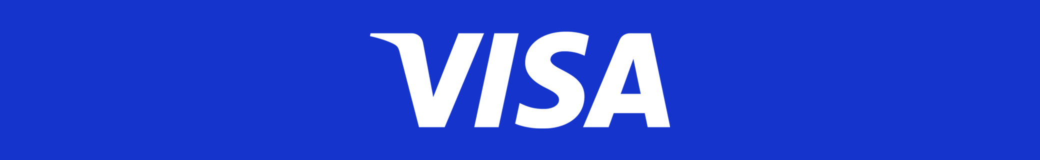 VISA banner